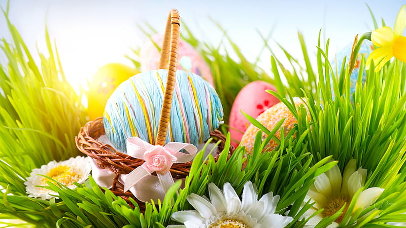 Early Easter Morning, sun, Easter eggs, grass, spring, Easter, basket,  flowers, HD wallpaper | Peakpx
