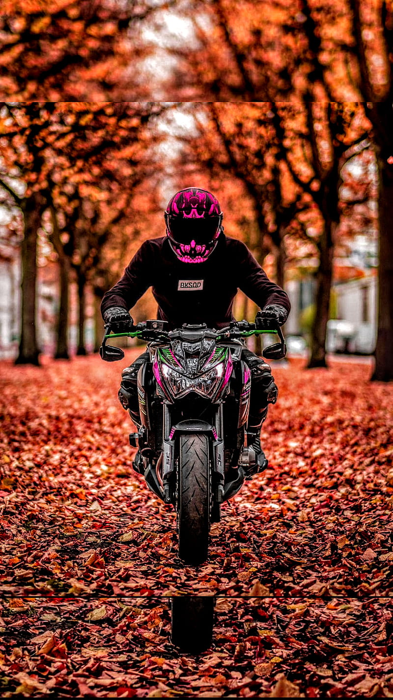 Rider, exhaust, motor, motorsiklet, siyah motorsiklet, pembe motorsiklet, HD phone wallpaper