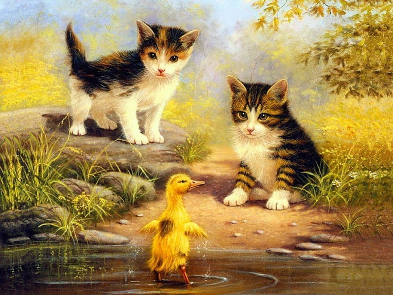 Cute friends, playing, pretty, curious, kittens, bath, fun, adorable, sweet, pond, cute, funny, duckling, cats, HD wallpaper
