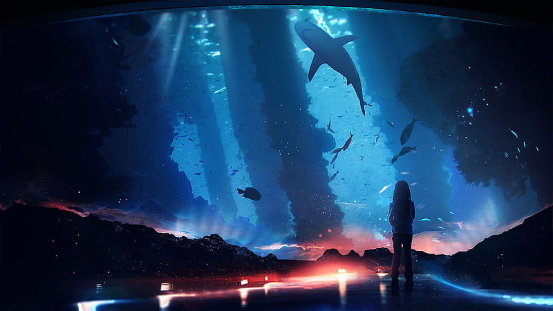 silhouette, aquarium, fish, dark, backlight, HD wallpaper