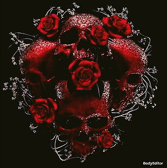 blood red rose wallpaper