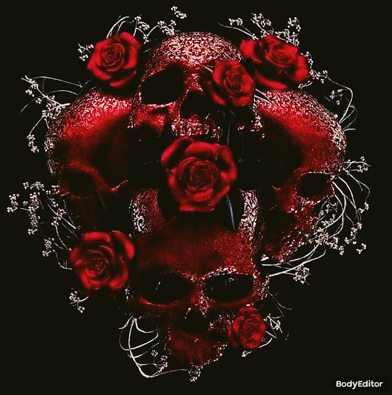 Bloody skul roses, blood, flowers, goth, rose, skull, HD phone wallpaper |  Peakpx