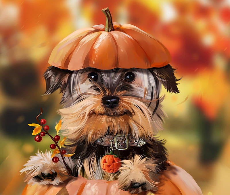 Happy Halloween!, art, autumn, lorri kajenna, luminos, orange, halloween, yorkshire terrier, caine, animal, pumpkin, puppy, dog, HD wallpaper