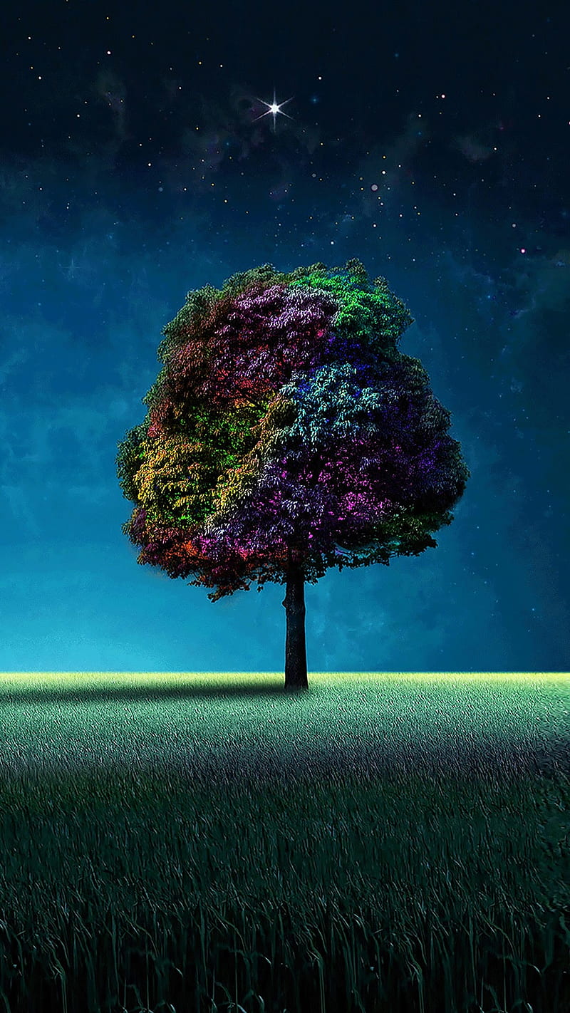 Colorful tree, bonito, grass, nature, night, s7, s8, HD phone wallpaper