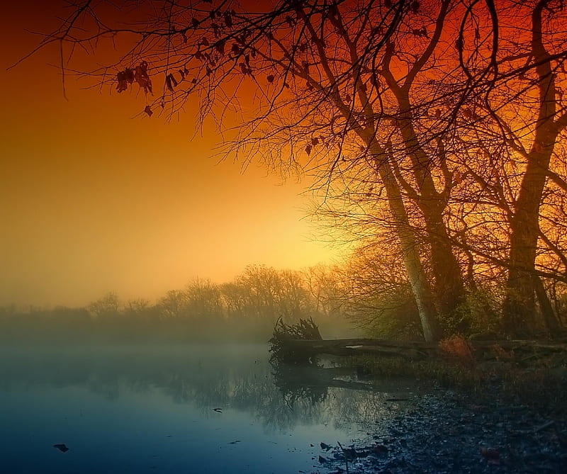 Sunset, coast, fog, gloomy, haze, lake, orange, pairs, terribly, tree, HD wallpaper