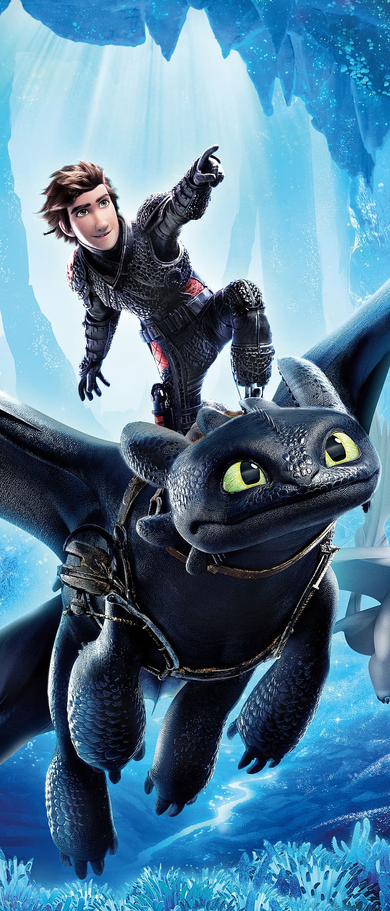 Movie, Toothless (How To Train Your Dragon), Hiccup (How To Train Your Dragon), How To Train Your Dragon, How To Train Your Dragon: The Hidden World, HD phone wallpaper