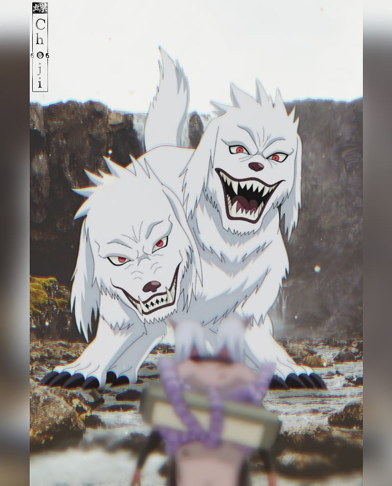 kiba akamaru, anime, manga, naruto, HD phone wallpaper