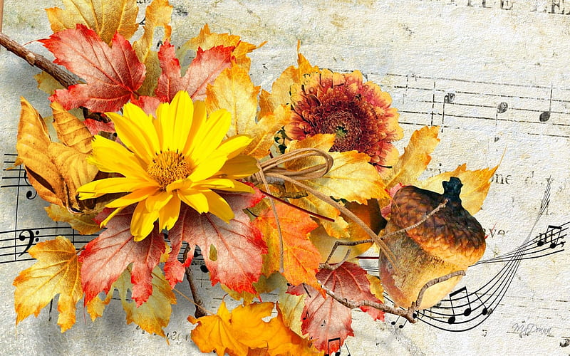 The Nutty Song, Flowers, Nature, Nuts, Music, Yellow, Autumn, HD wallpaper