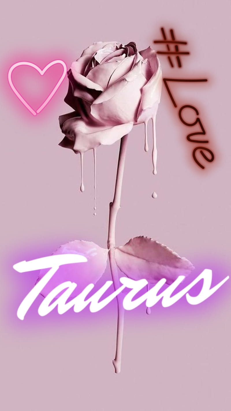 Taurus, flowers, love, rose, HD phone wallpaper