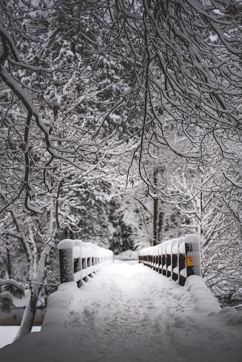 snow covered metal footed bridge in grayscale graphy, HD phone wallpaper
