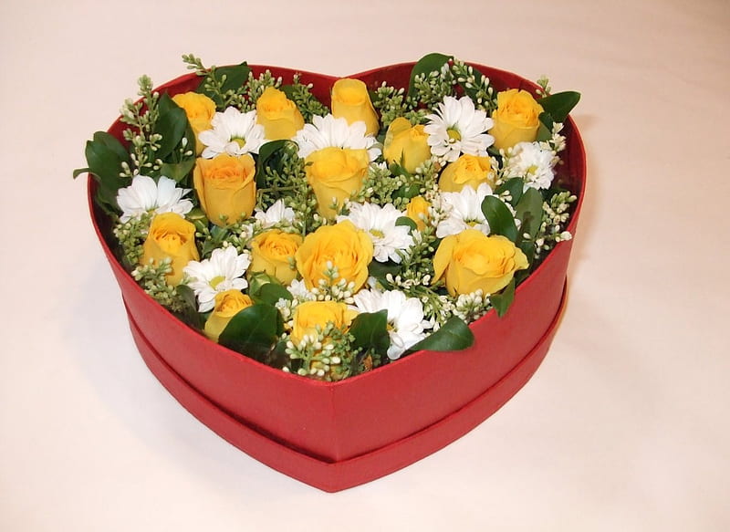 Happy Birtay My Sunshine, happy birtay, yellow, box, special day, roses, i love you, yellow roses, leaves, bouquet, love, heart, flowers, beauty, sweetness, white, HD wallpaper