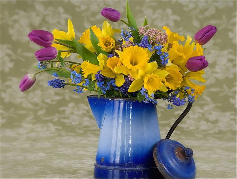 Milk jug in spring, water can, daffodils, container, yellow, lid, milk jug, flowers, petals, tulips, pink, blue, HD wallpaper