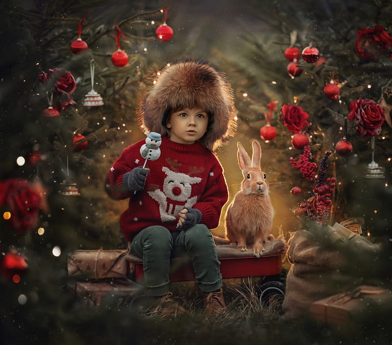 :), rabbit, boy, craciun, christmas, copil, bunny, child, jansone dace, hat, HD wallpaper