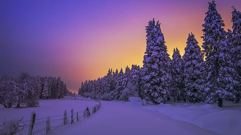 Basque Country, Spain, in Winter, sunset, snow, colors, landscape, trees, sky, HD wallpaper