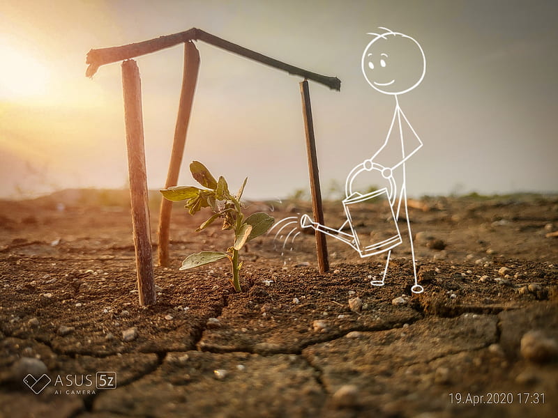 Baby Plant , bike, candle, insects, light, lights, plant, spider, stick man, watering, HD wallpaper