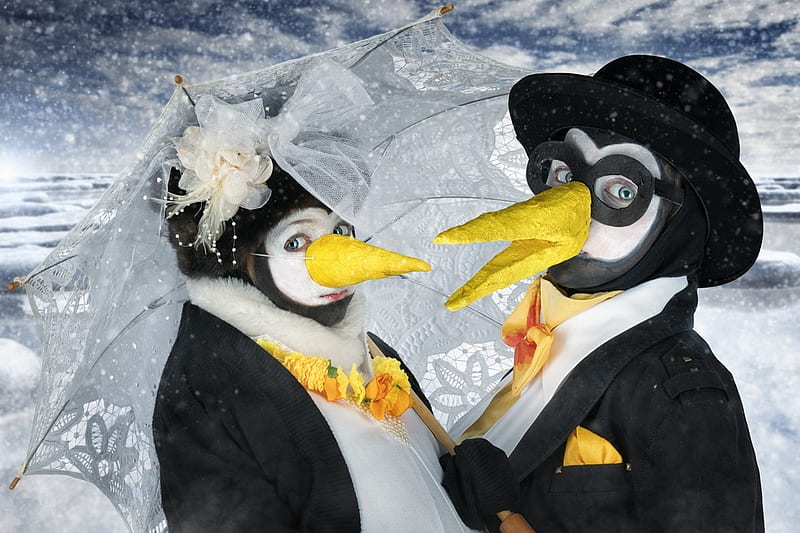 Just Mrs And Mr Penguin John Wilhelm Penguin Children Black Yellow Creative Hd Wallpaper Peakpx