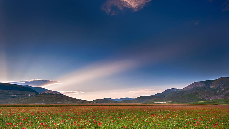 beautiful poppy field in umbria italy, mountains, flowers, village, fields, sky, HD wallpaper