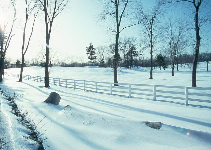 Winters magic, fence, rural, acreage, snow, trees, winter, HD wallpaper