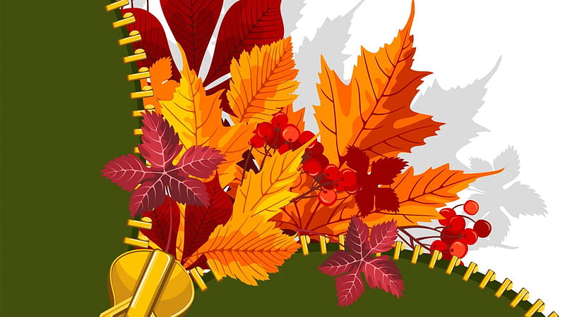 Fall Unzipped, fall, autumn, mountain ash berries, orange, maple, shadow, abstract, leaves, gold, bright, zipper, HD wallpaper