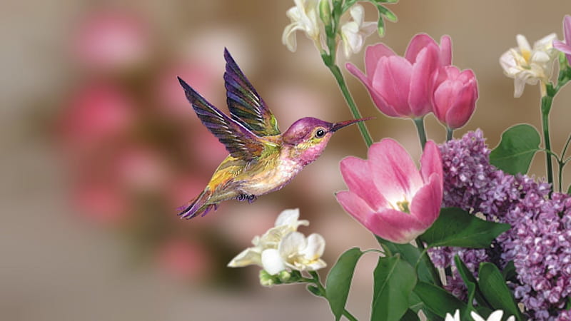 ~*~ Hummingbird ~*~, cute, , birds, flowers, Hummingbird, bonito, spring, sweet, HD wallpaper