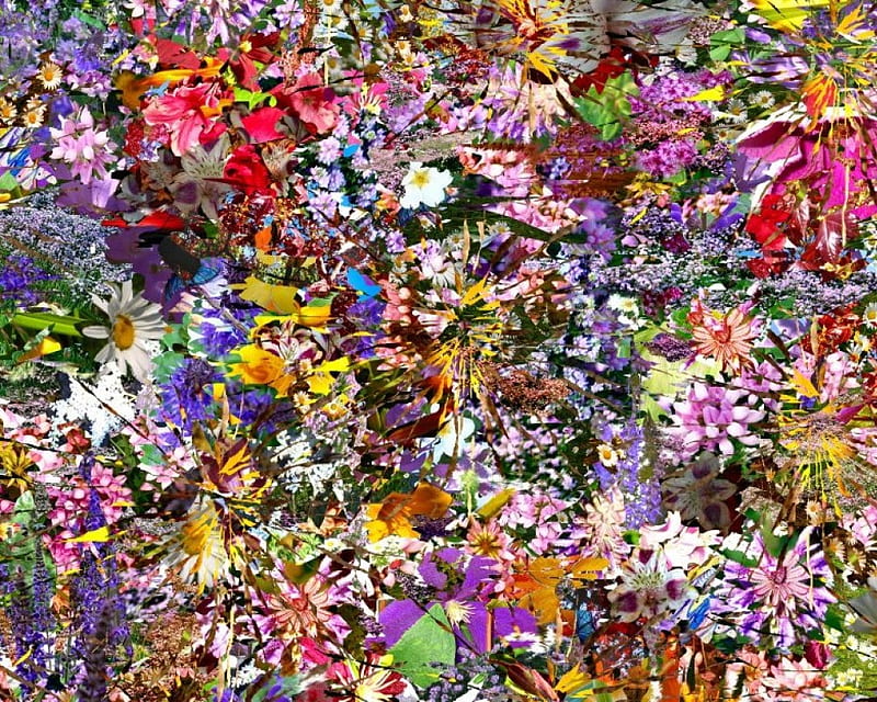 Mindelic Flowers, mixture, flowers, collage, HD wallpaper