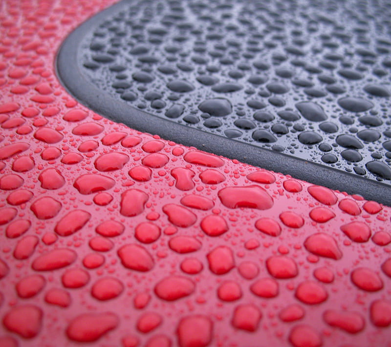 Drops, black, dew rain, raindrops, red, water, waterdrops, wet, HD wallpaper