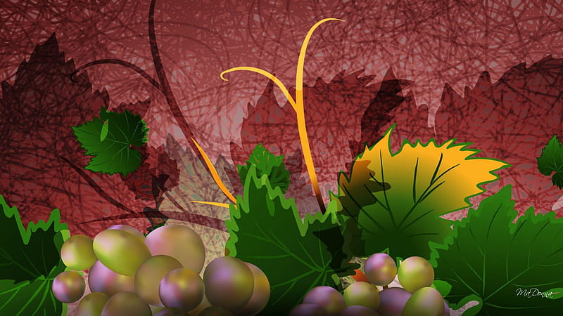 Grape Harvest, fall, autumn, harvest, wine, vineyard, fruit, grapes, leaves, grunge, dark, vines, winery, HD wallpaper
