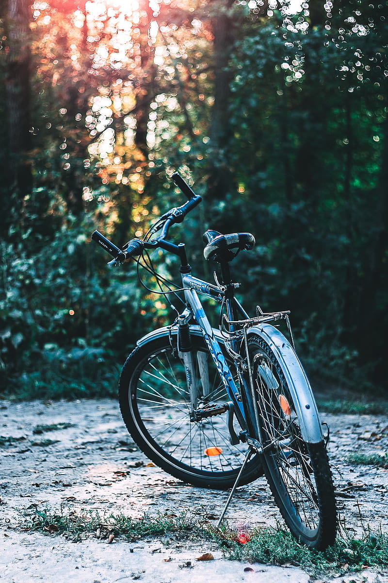 blue and black commuter bike parked near green trees, HD phone wallpaper