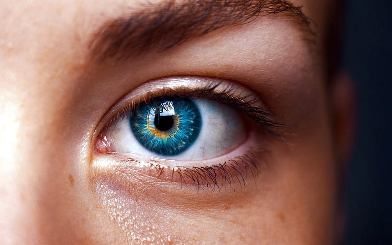 blue female eye, beautiful eyes, face, blue eyes, macro eye, HD wallpaper