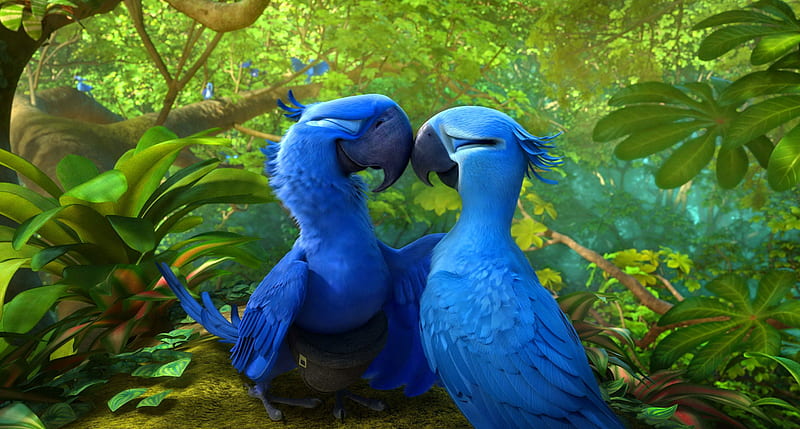 Love parrots, forest, lovely, movie, trees, kiss, Rio, love, passion, parrots, tropical, friends, animals, HD wallpaper