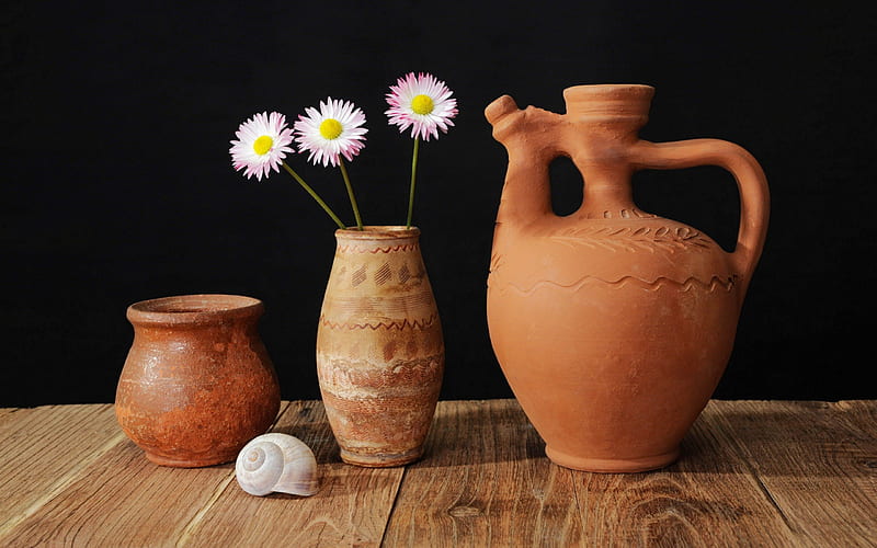 Still Life, pretty, lovely, vase, bonito, graphy, vases, shell, flowers, beauty, nature, petals, shells, wooden, wood, HD wallpaper