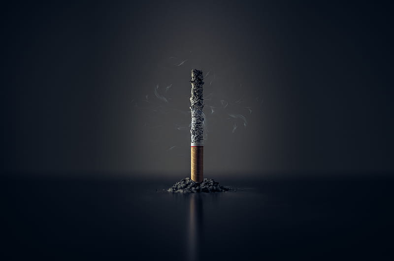 single cigarette stick with ashes stick, HD wallpaper