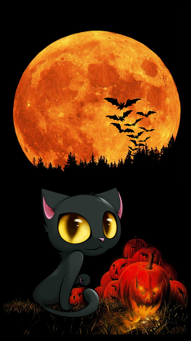 Happy Halloween 02, cat, dark, holiday, kitten, HD phone wallpaper