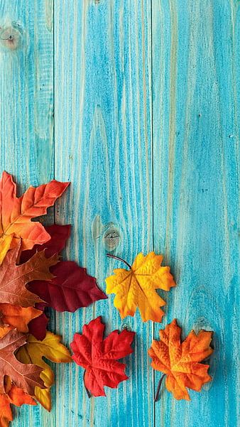 Fall yall, blue, happy, leaves, wood, HD phone wallpaper | Peakpx