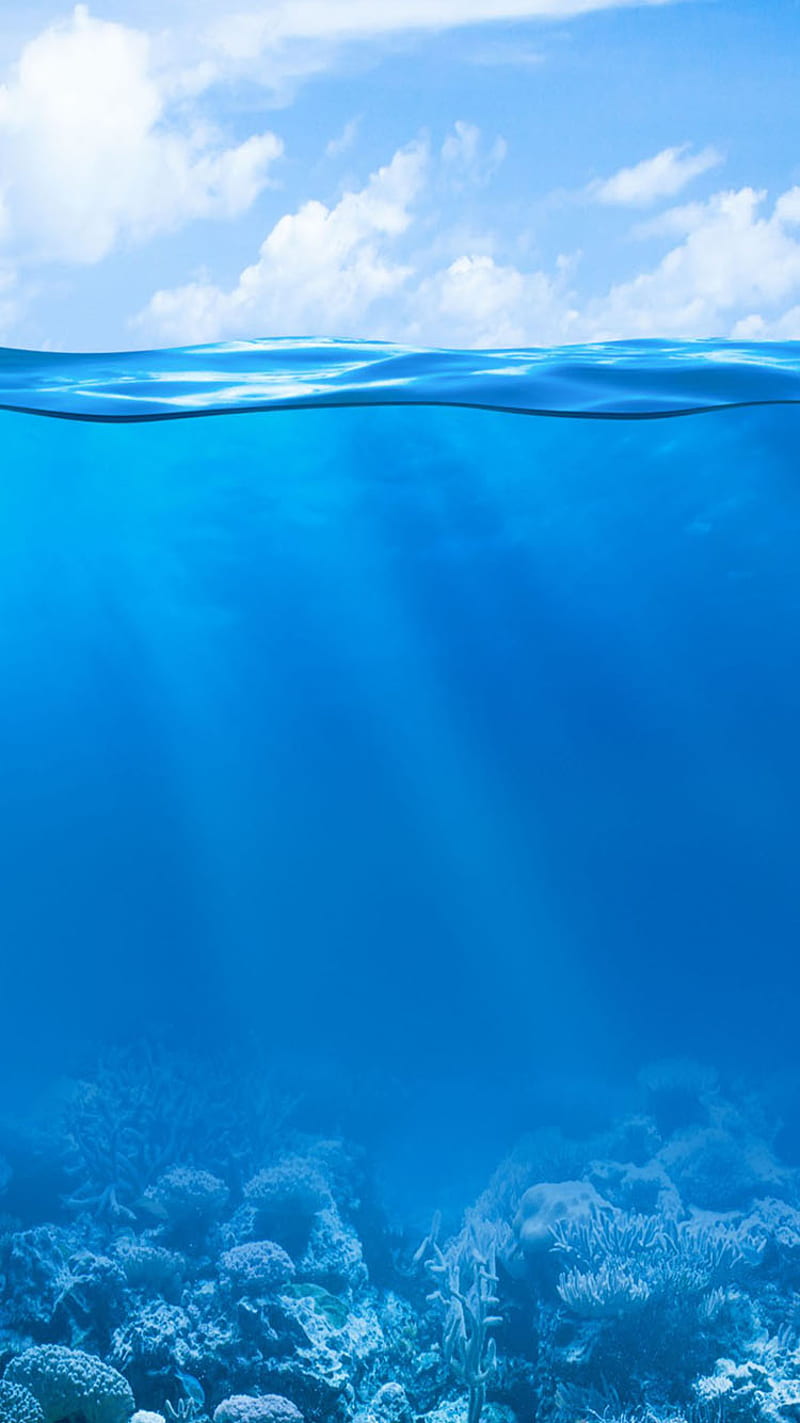 Under Water, HD phone wallpaper