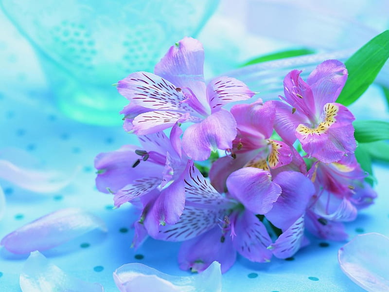 Bouquet of Irises, lilac, bouquet, flowers, beauty, nature, iris, HD wallpaper
