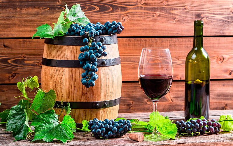 wine, grapes, barrel of wine, fruit, harvest, wine cellar, HD wallpaper