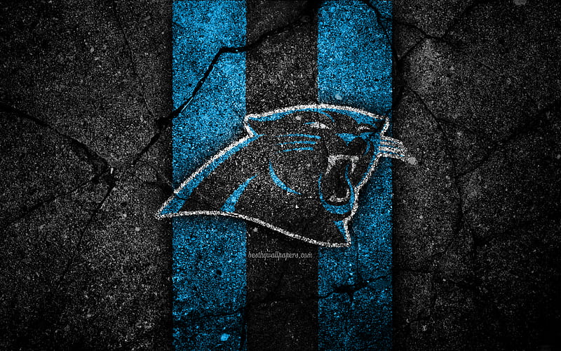 Carolina Panthers, logo, black stone, NFL, NFC, american football, USA, art, asphalt texture, South Division, HD wallpaper