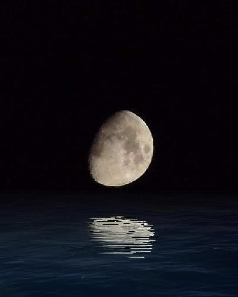 Moon Set Reflection, good night, moon, moonlight, night ...
