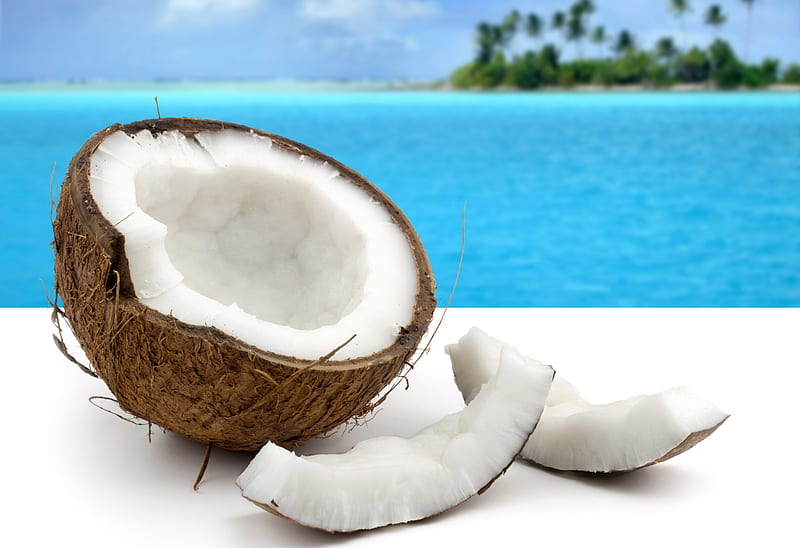 Coconut, beach, tropical, sea, HD wallpaper