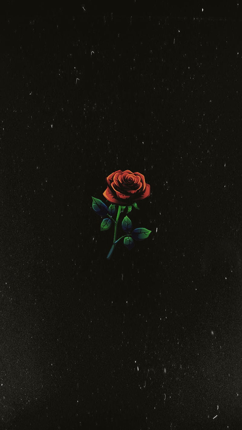 Rose, 1994, hot, nature, red, tumblr, HD phone wallpaper | Peakpx