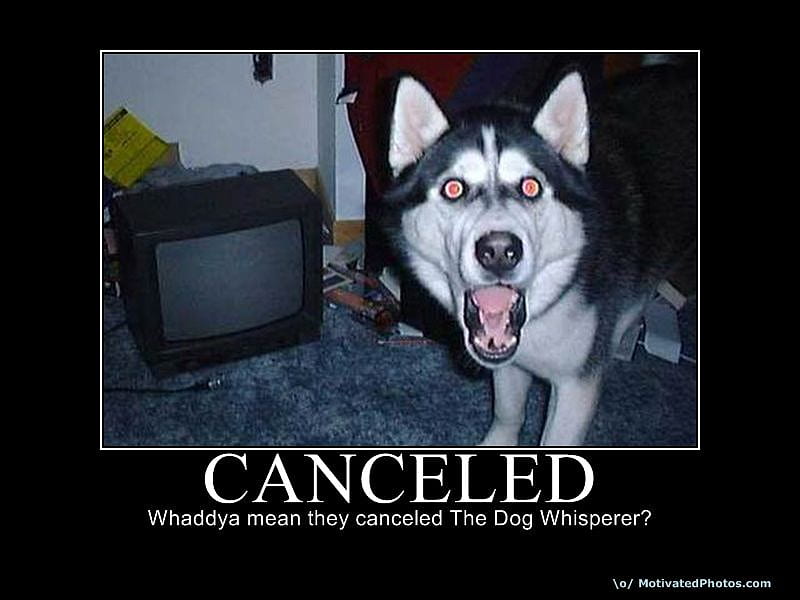 CANCELED!!!!!!, cancele, canceled, os, how, do, HD wallpaper