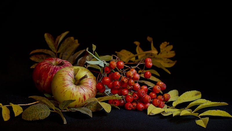 berries, apples, fruits, black background, Food, HD wallpaper