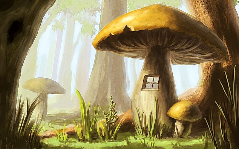 Mushroom house, forest, fantasy, house, elf, mushroom, trees, fairy, fog, HD wallpaper