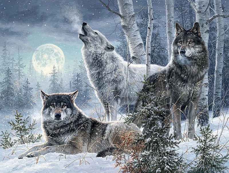 Winter Moonrise, trees, wolves, wolfpack, forest, snow, winter, HD wallpaper