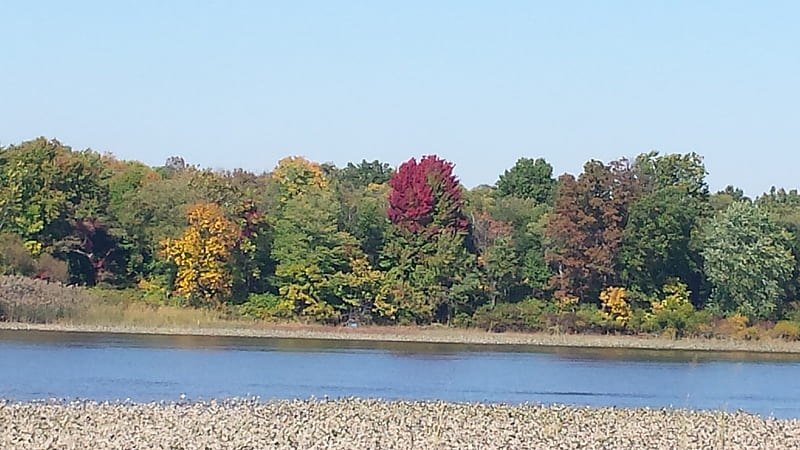 The Rancocas Creek in the Fall., Rancocas Creek at the Delaware River, Fall Foliage on the Rancocas Creek, Fall Begins, Water and Foliage, HD wallpaper