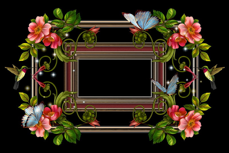 ✫Cute Frame✫, frames, love four seasons, butterflies, softness beauty, attractions in dreams, creative pre-made, cute, stock , curling vines, clipart, cute frame, flowers, humming birds, butterfly designs, resources, HD wallpaper