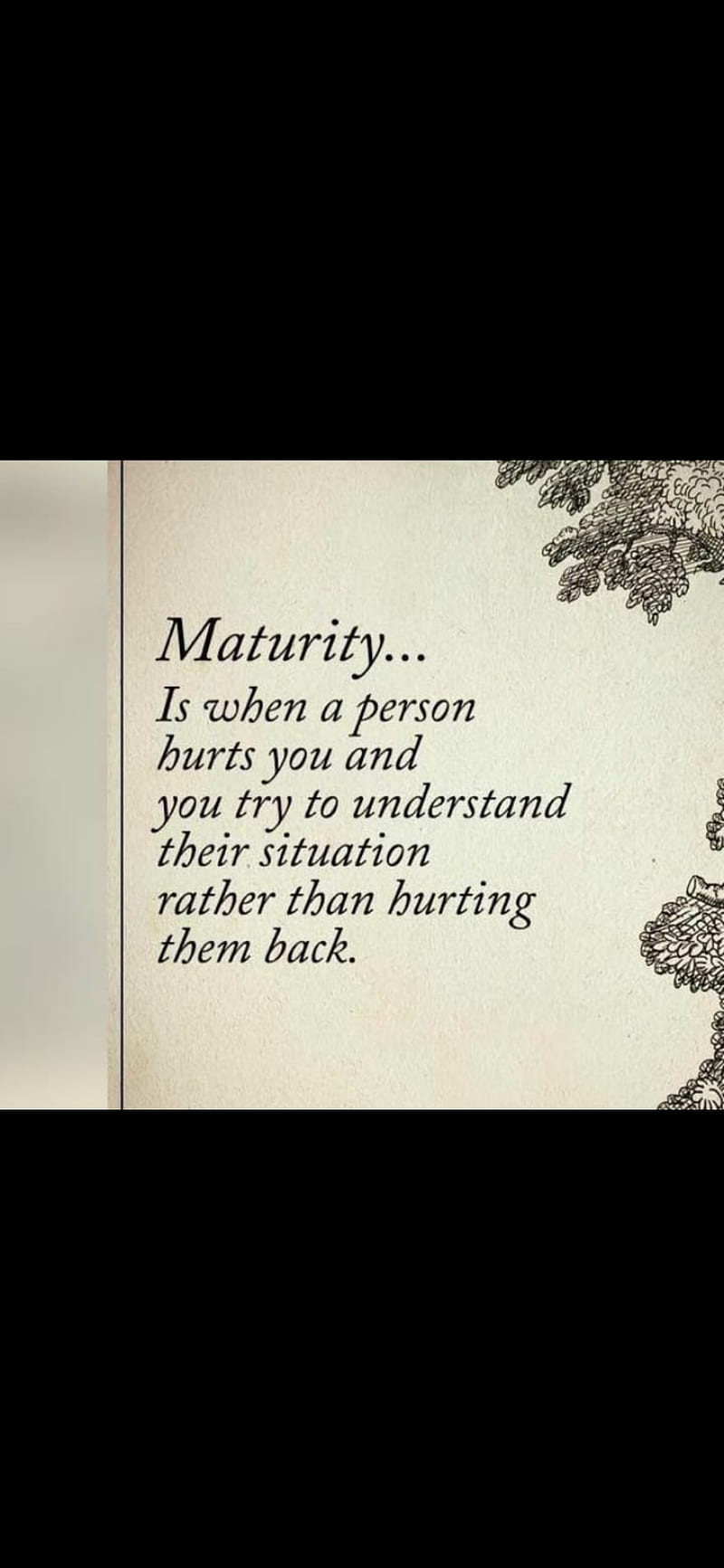 maturity quotes