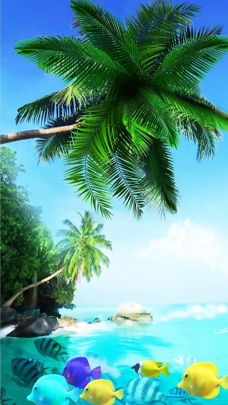 Aggregate more than 61 tropical iphone wallpaper - in.cdgdbentre