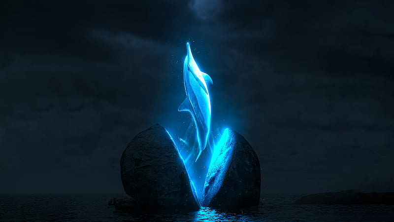 Mystical Dolphin Dolphin Artist Artwork Digital Art Hd Wallpaper Peakpx